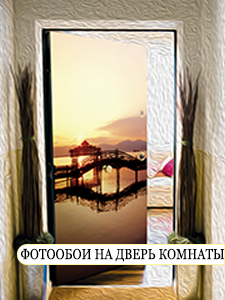 фотообои для интерьера на двери