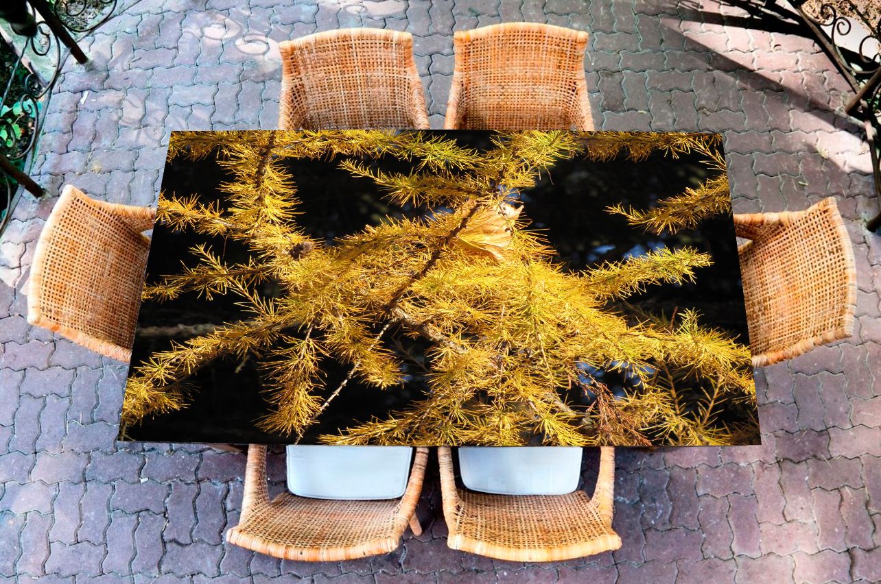 Stickers a Table - Larch | Table Decals in x-decor.com