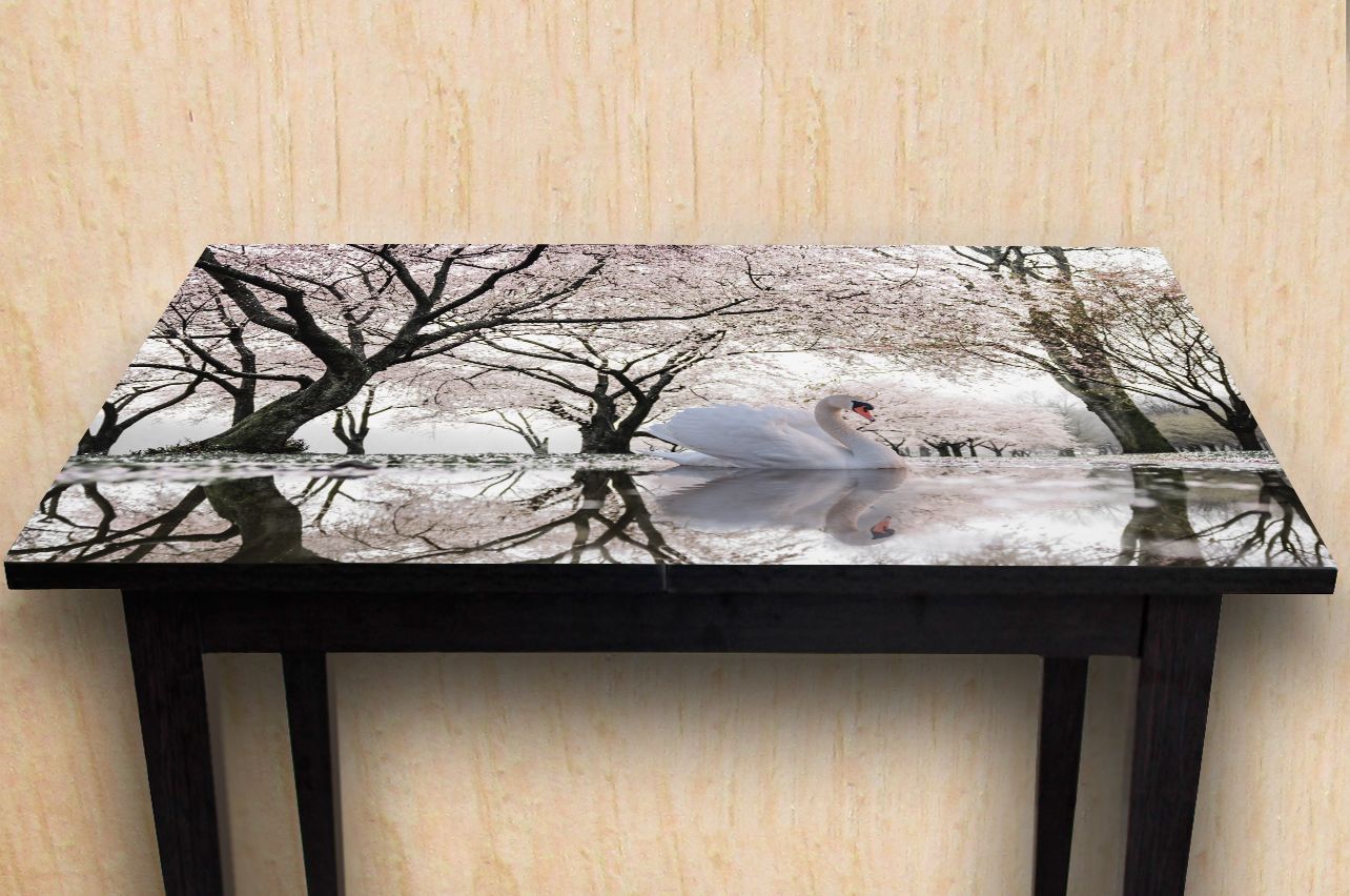 Наклейка на стол - Лебединое озеро | фотопечать на стол в магазине Интерьерные наклейки