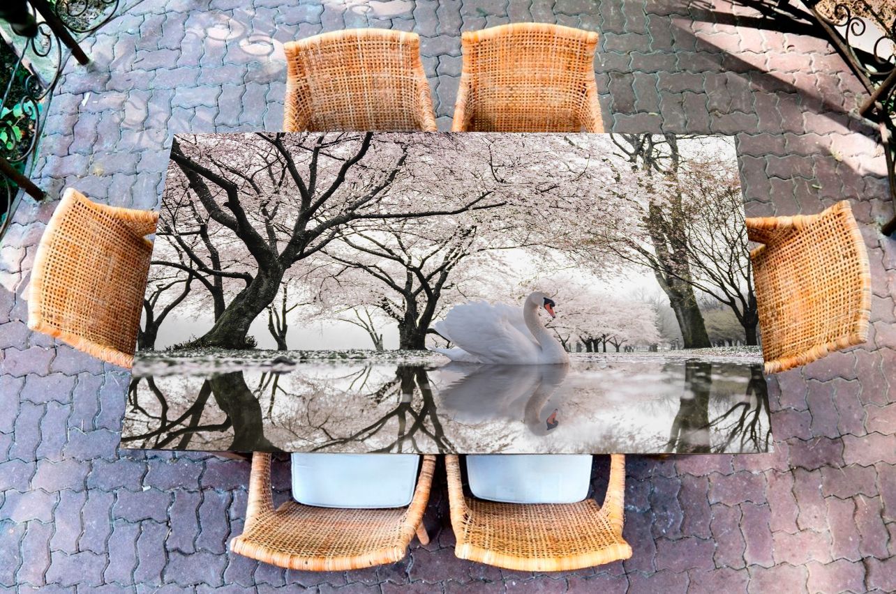Наклейка на стол - Лебединое озеро | фотопечать на стол в магазине Интерьерные наклейки