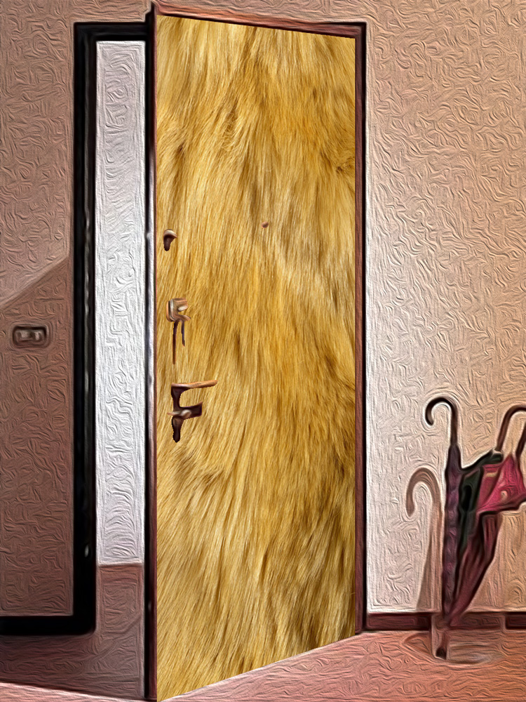 Наклейка на дверь -  Шерсть льва | магазин Интерьерные наклейки