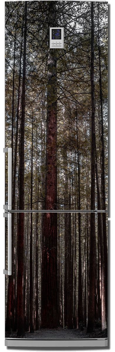 Ship pines | Self Adhesive Sticker Wall Fridge, Kitchen Decor X-Decor