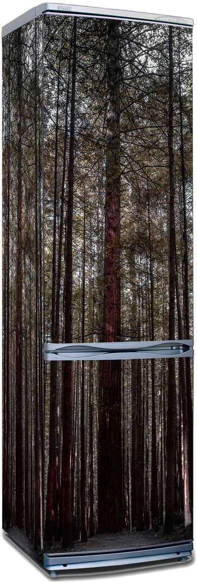 Ship pines | Self Adhesive Sticker Wall Fridge, Kitchen Decor X-Decor