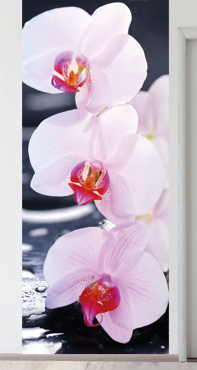 Панно на стену - SPA Орхидеи магазин Интерьерные наклейки