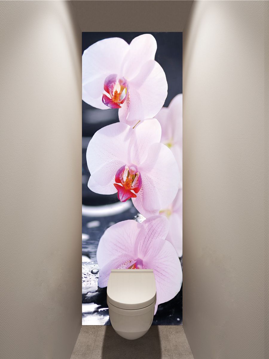Фотообои в туалет - SPA Орхидеи магазин Интерьерные наклейки